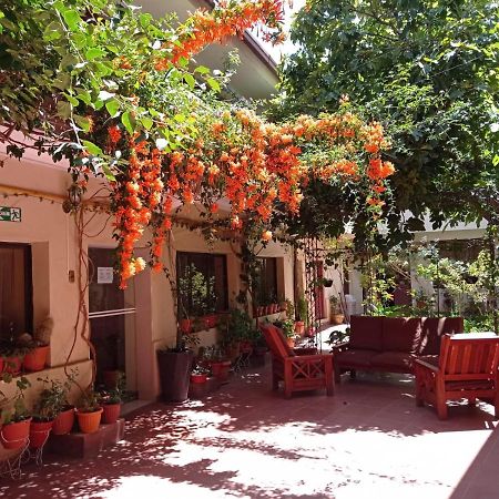 טופיזה Hostal Aramayo מראה חיצוני תמונה