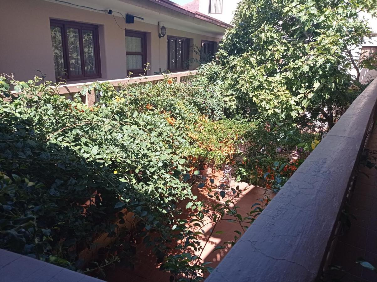 טופיזה Hostal Aramayo מראה חיצוני תמונה